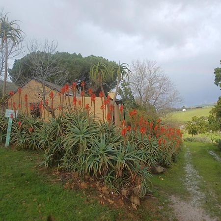 波特里弗Swaynekloof Farm别墅 外观 照片
